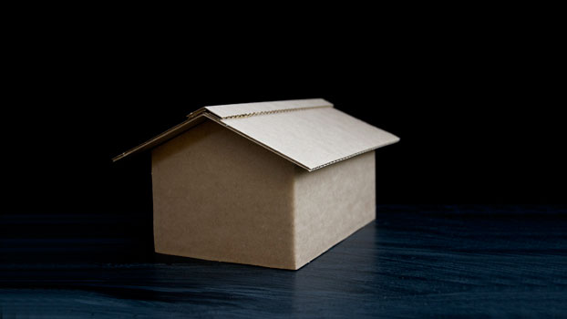 DSC_2727-(1)-1 DSC_2727-(1)-1