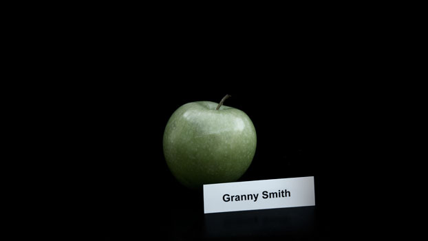 DSC_2946-grannysmith-2a DSC_2946-grannysmith-2a