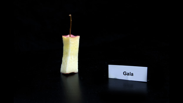 DSC_2953sm DSC_2953sm