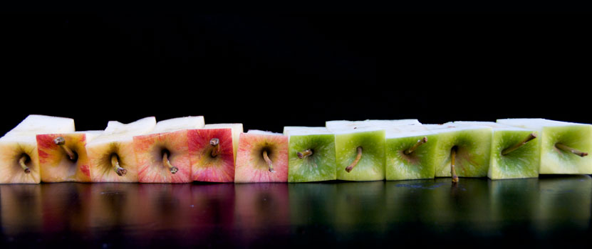 DSC_3046-2 DSC_3046-2