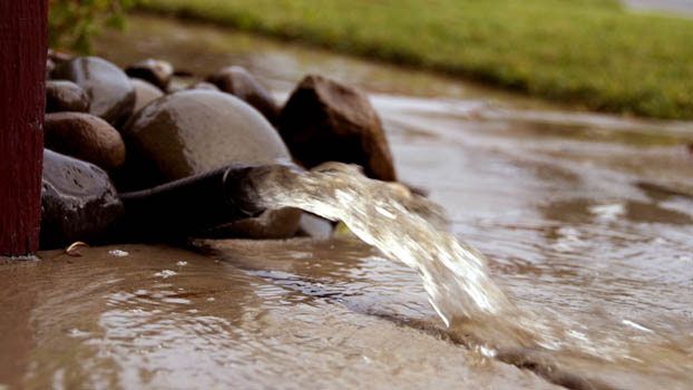 DSC_3184sm DSC_3184sm