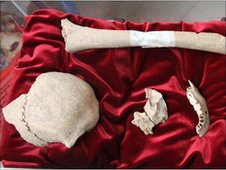 _48092587_009553261-1