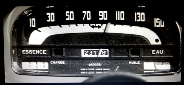 paleflower paleflower