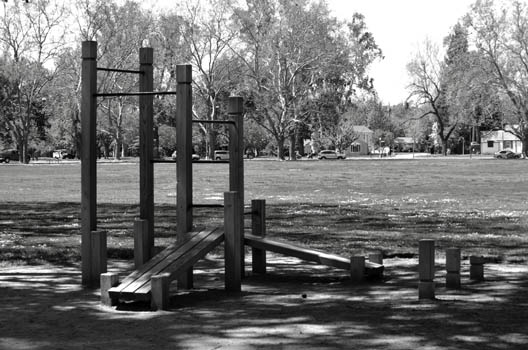 DSC_2595bw